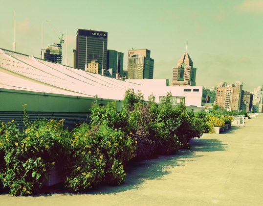PITTSBURGH CC North Terrace_g