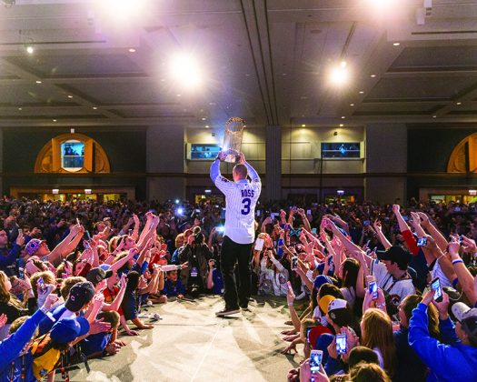 Cubs Convention 2017