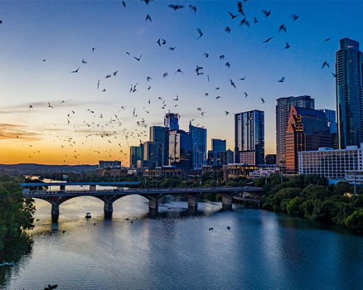 ATX-2