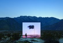 Event Snapshots: Epic Triumphs in San Francisco and the Coachella Valley DesertX_2019_John_Gerrard_1-1