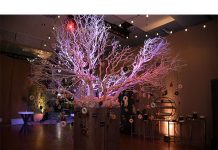 New Recipes for Group Dining Donut-Tree-Anaheim-Marriott-1
