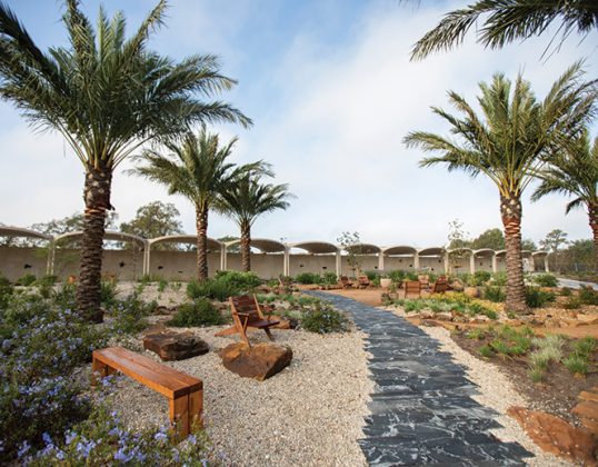 Houston-Botanic-Garden_Mediterranean-Garden-looking-toward-The-Alcoves_Michael-Tims-Photography