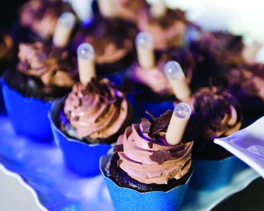 MNME6586_BestOf2015_EJD_JPG, MNME Best of 2015 Gala Party