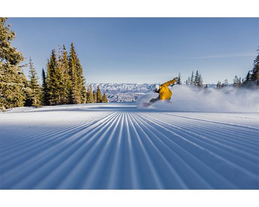 skiing