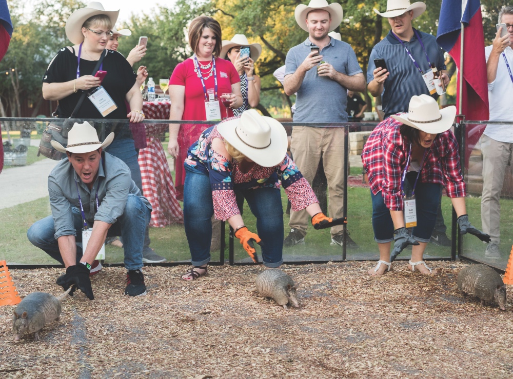 Armadillo racing at Hyatt Regency Hill Country Resort and Spa. June 23, 2023