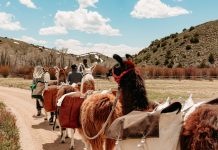 Discover Creative Team Building