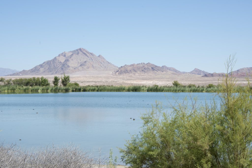 Bird Viewing Preserve