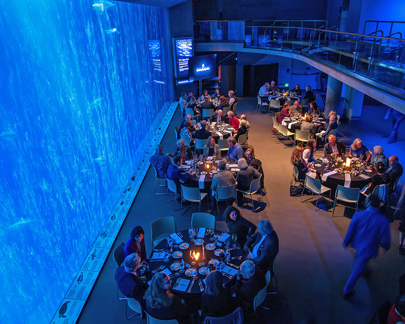 Monterey Bay Aquarium