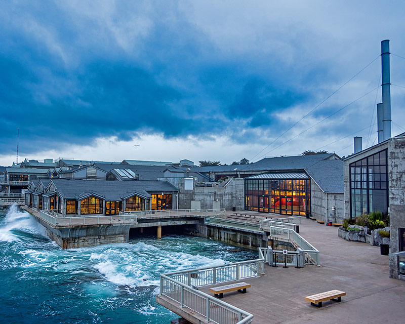 Monterey Bay Aquarium