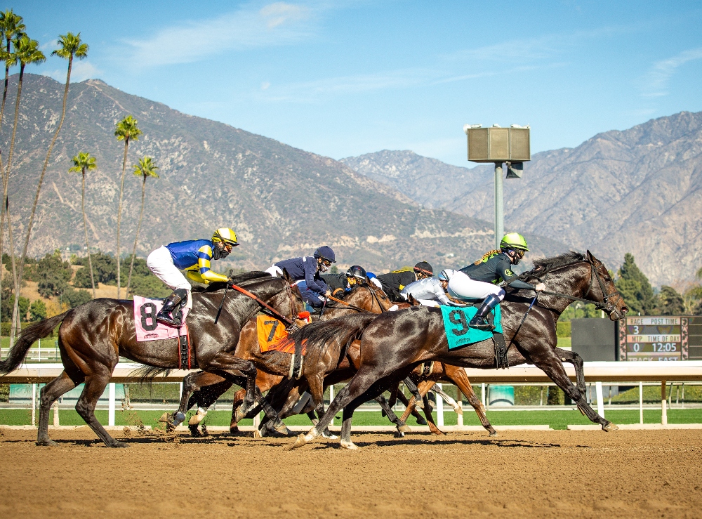 Racehorses at Santa Anita Park in Arcadia. November 21, 2025