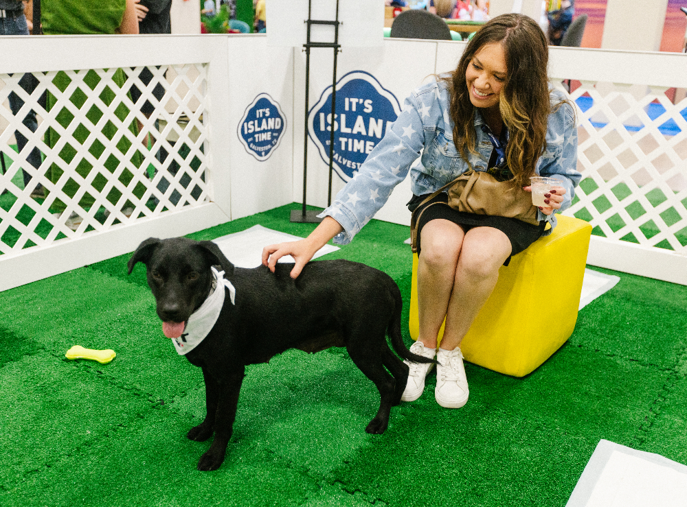 Visit Galveston's puppy booth at MPI WEC 2026. June 9, 2026