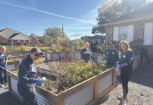 Winning Team Building Group garden project with Hands On Atlanta