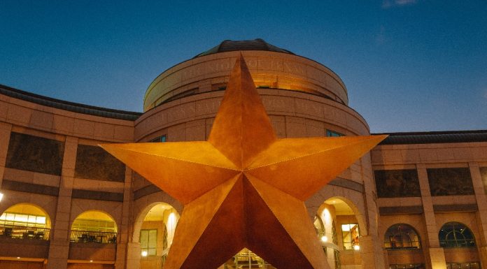 Meet Amid Entertaining Exhibitions at Museums