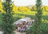 The Art of the Incentive Trip