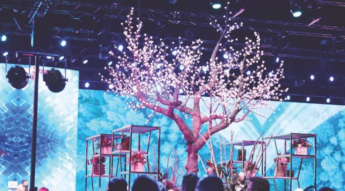 Northwest Event Pros Are Reaching New Heights